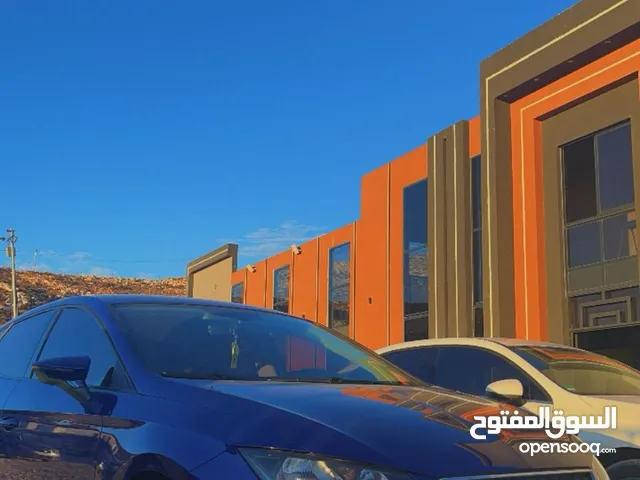 سيات ليون 2020