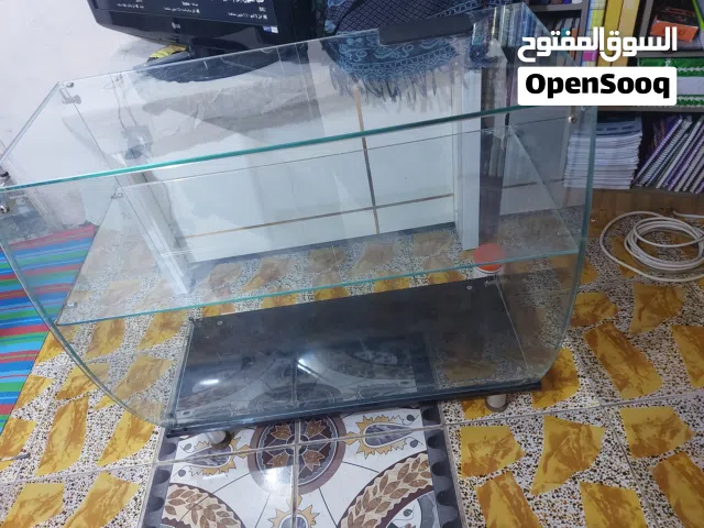 فاترينا جام بـ30 الف