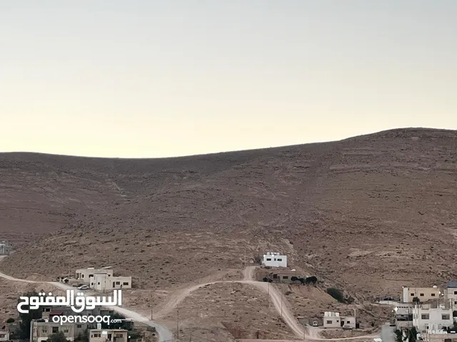 ارض للبيع في الزرقاء -منطقة ابو الزيغان