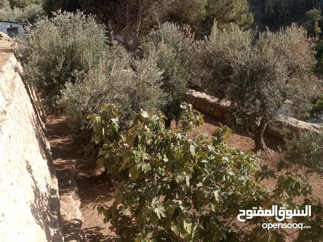 قطعة ارض بطابقين مع بستان في الهاشمي الجنوبي للبيع