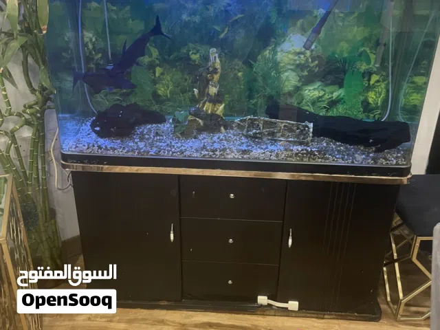 للبيع حوض سمك