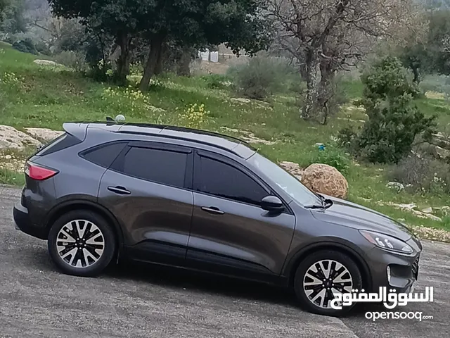 Used Ford Escape in Amman
