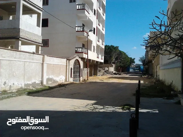 70m2 2 Bedrooms Apartments for Rent in Alexandria El Safa Village