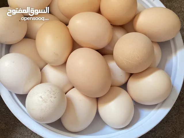 بيض محلي الكميه محدوده للاكل فقط