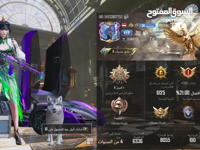 Pubg Accounts and Characters for Sale in Sana'a