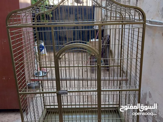 قفص ببغاء كبير يتسع لأكثر من طير مستعمل نظيف