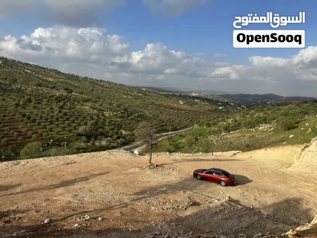 Farm Land for Sale in Zarqa Sarout