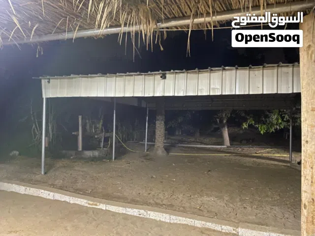 سبلة للبيع  وقدره270ريال ولكن قابلةللتفوض آخر سعر 220ريال تواصل على رقم واتساب للجادين فقط