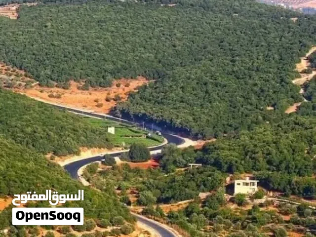 1 Bedroom Farms for Sale in Ajloun A'fna