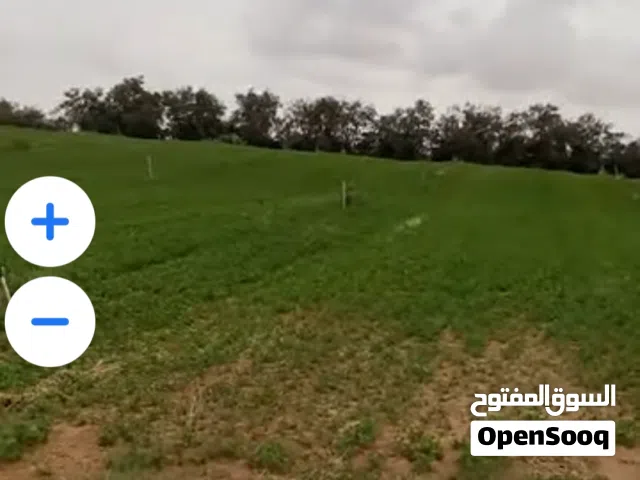 أرض خمسة كتارات  الرئيسي طريق المطار  ورق مضمون وفي غيرها.