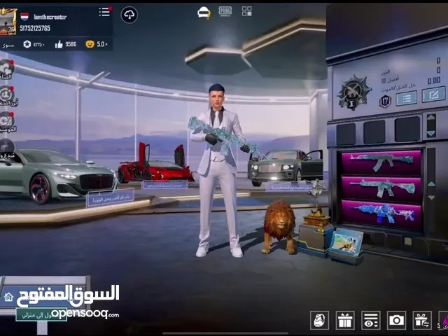 Pubg Accounts and Characters for Sale in Tafila