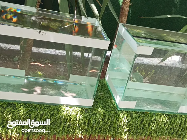 احواض سمك للبيع بحالة ممتازة