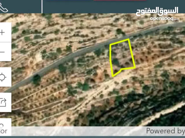 ارض بقراوه بني زيد دونم كامل صافي