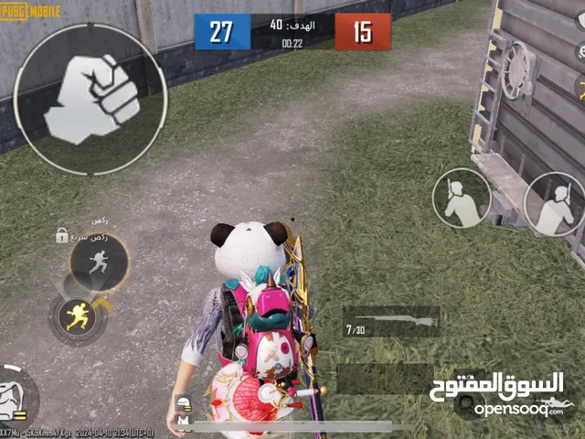 Pubg Accounts and Characters for Sale in Aqaba