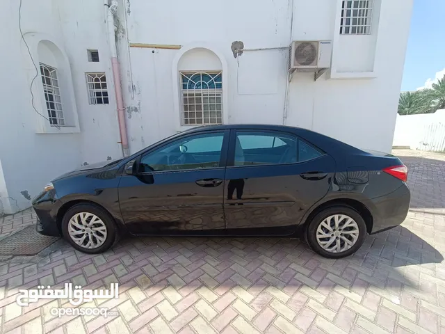 Used Toyota Corolla in Muscat