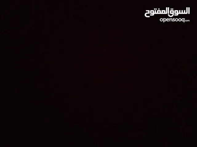 mhmoud
