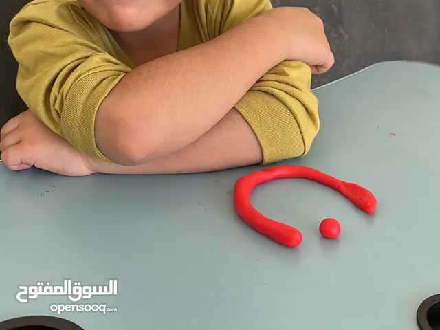 Elementary Teacher in Dubai