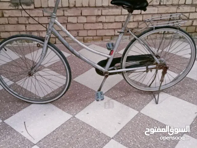 باسكل بطه ياباني أصلي للبيع