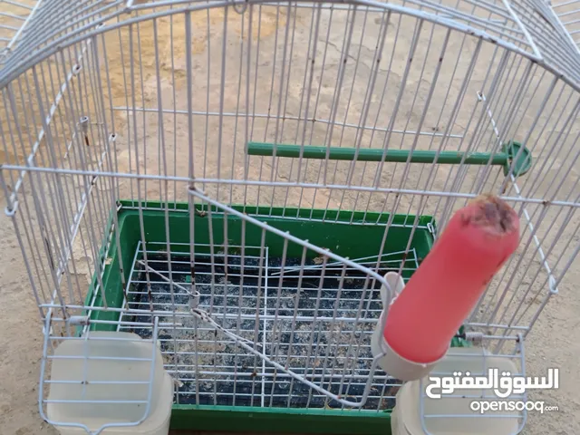 قفص طيور زينة للبيع