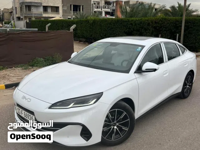 2025, بي واي دي, سيل