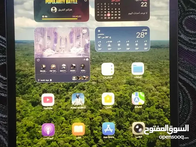 Apple iPad Pro 11 64 GB in Zarqa