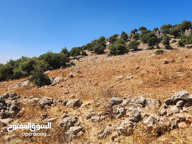 Mixed Use Land for Sale in Ajloun Alqala'a