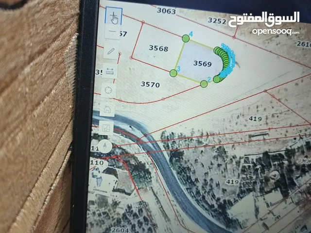 Residential Land for Sale in Amman Ayn Rbat