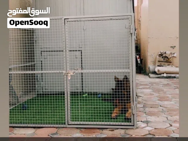 غرفة للحيوانات او الكلاب مستعمله حجمه مب كبير وايد من داخل وشي فتحه ف النص قفص خارجي للجلب وقفص داخل