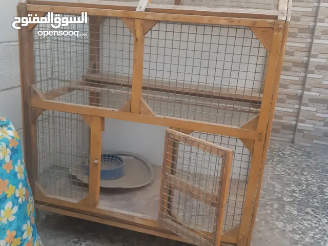 قفص طيور او حمام