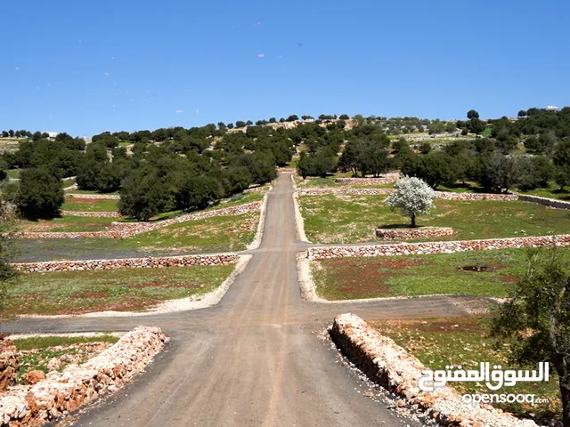 Farm Land for Sale in Ajloun A'fna