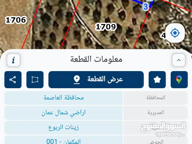 Residential Land for Sale in Amman Shafa Badran