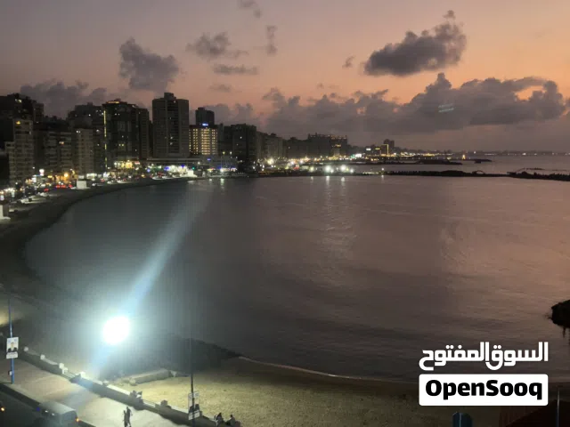 100 m2 2 Bedrooms Apartments for Rent in Alexandria Miami