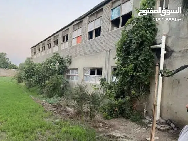 More than 6 bedrooms Farms for Sale in Mansoura Other
