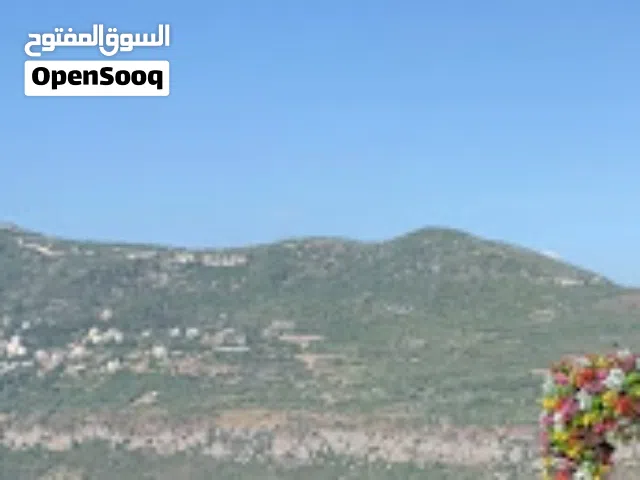 Prime Land for Sale in Al-Bennay, Aley – 9,910 m2  Investment Opportunity  Scenic Views