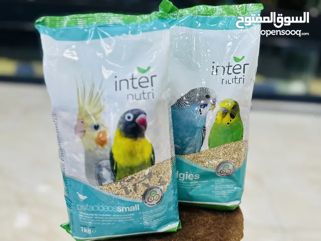 طعام الببغاوات inter البرتغالي