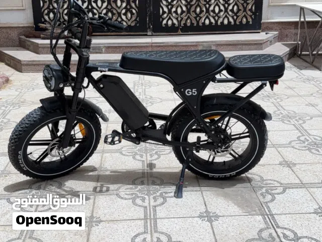 دراجة كهربائية  Rine G5  اخت الجديدة