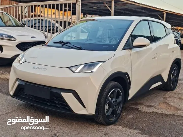 BYD SEAGULL EV ZERO 2024 بي واي دي سيجال زيرو
