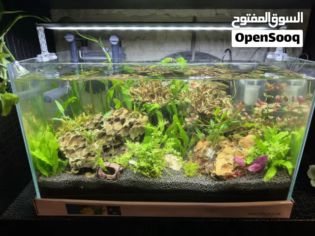 احوض سمك للبيع او البدل. وديك براهما ابيض و3 بطات ودود قبابي
