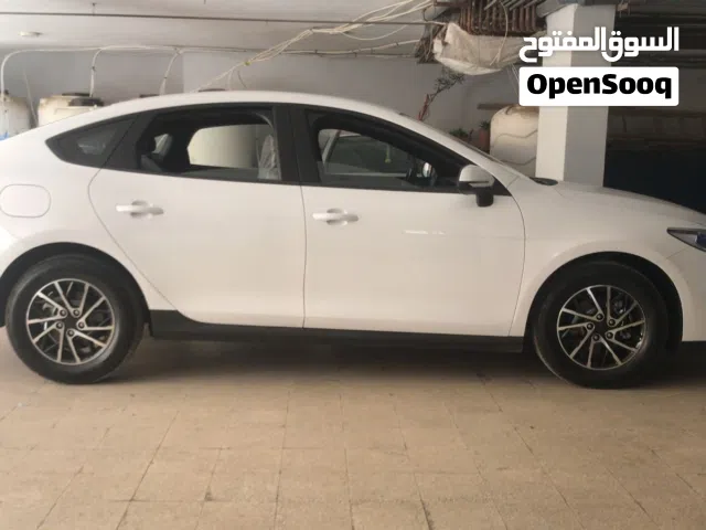 2025 بي واي دي كين
