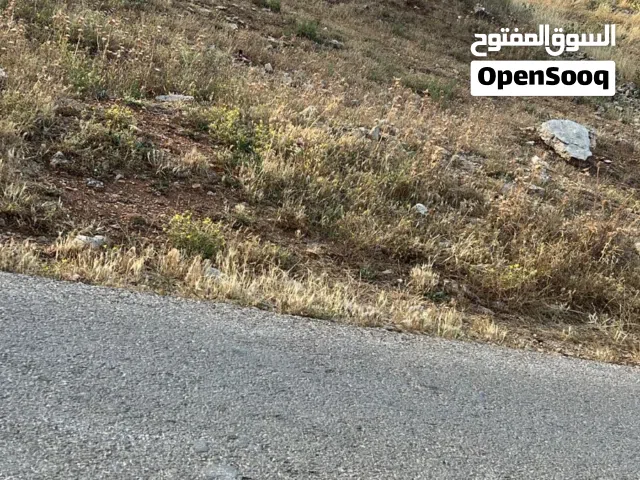 Residential Land for Sale in Ajloun Sakhra