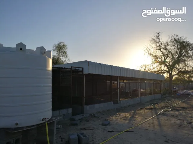 1 Bedroom Farms for Sale in Al Batinah Barka