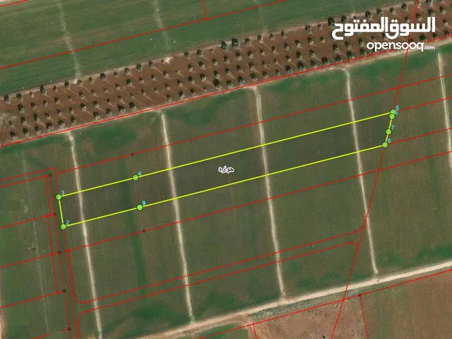 Farm Land for Sale in Irbid Huwwarah