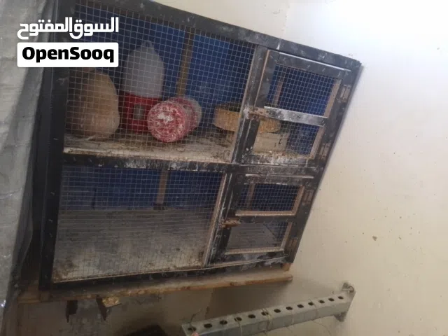 قفص حمام رفين والرفين خاليات من اضرار