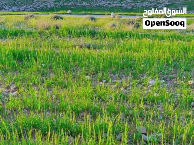قطعة ارض للبيع بيرين صروت تبعد عن شفا بدران 20 دقيقه