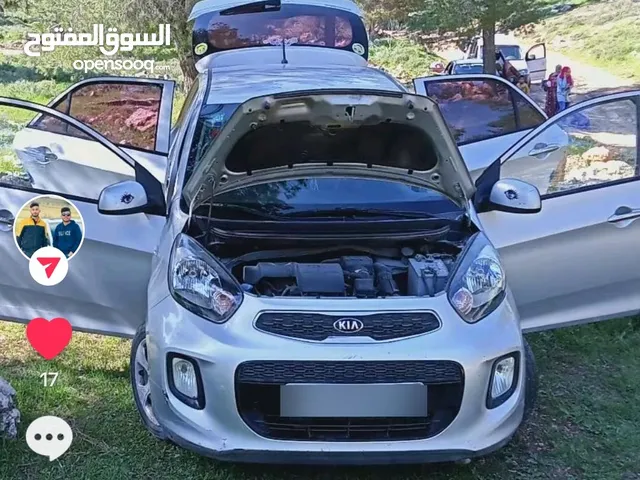 كيا بيكانتو 2015للبيع