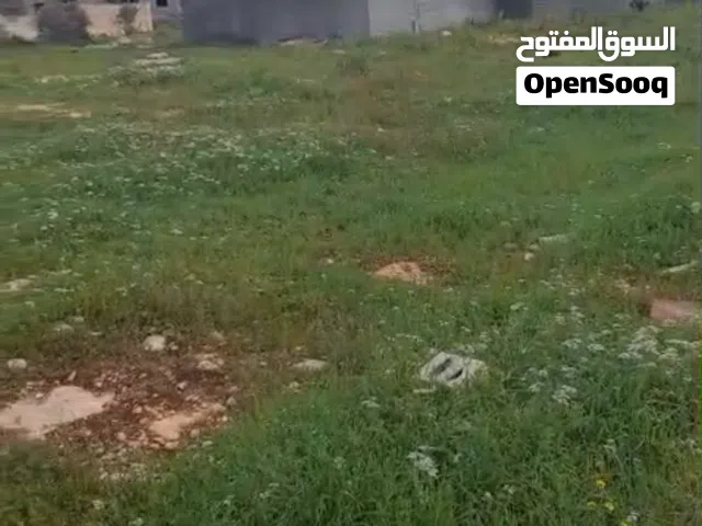 Residential Land for Sale in Jenin Deir Ghazala