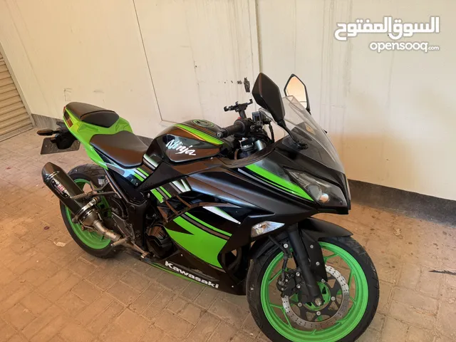 Kawasaki Ninja 2017 300 CC