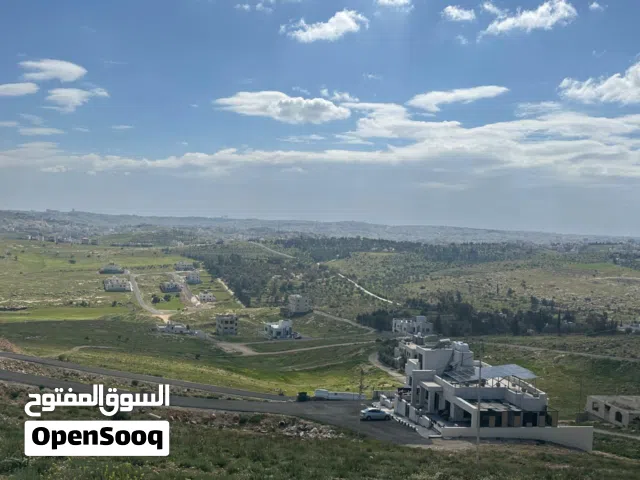 Residential Land for Sale in Amman Zinat Al-Rubue