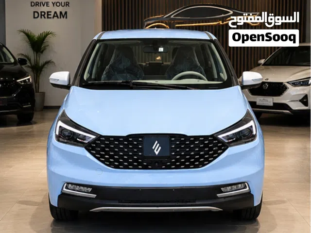 2026 JMEV EV3