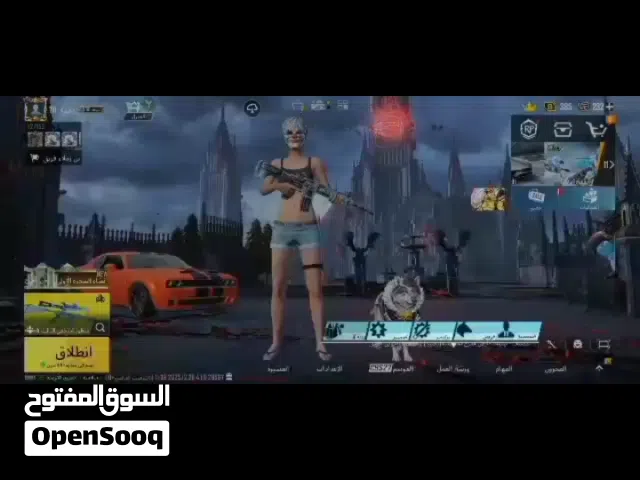 Pubg Accounts and Characters for Sale in Al Madinah